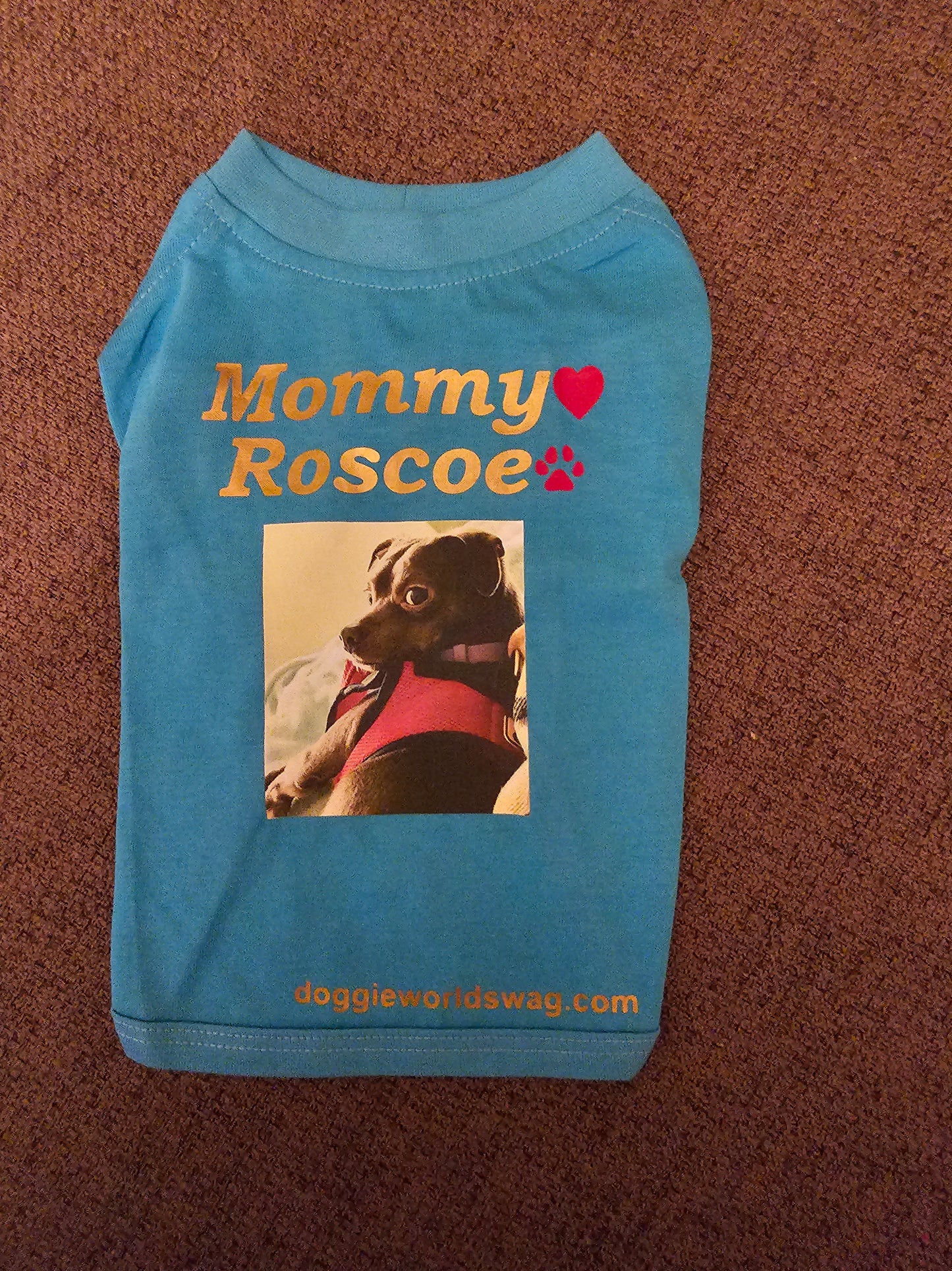 For Fur Babies Custom Made Items~(Email Us๐๐พ)