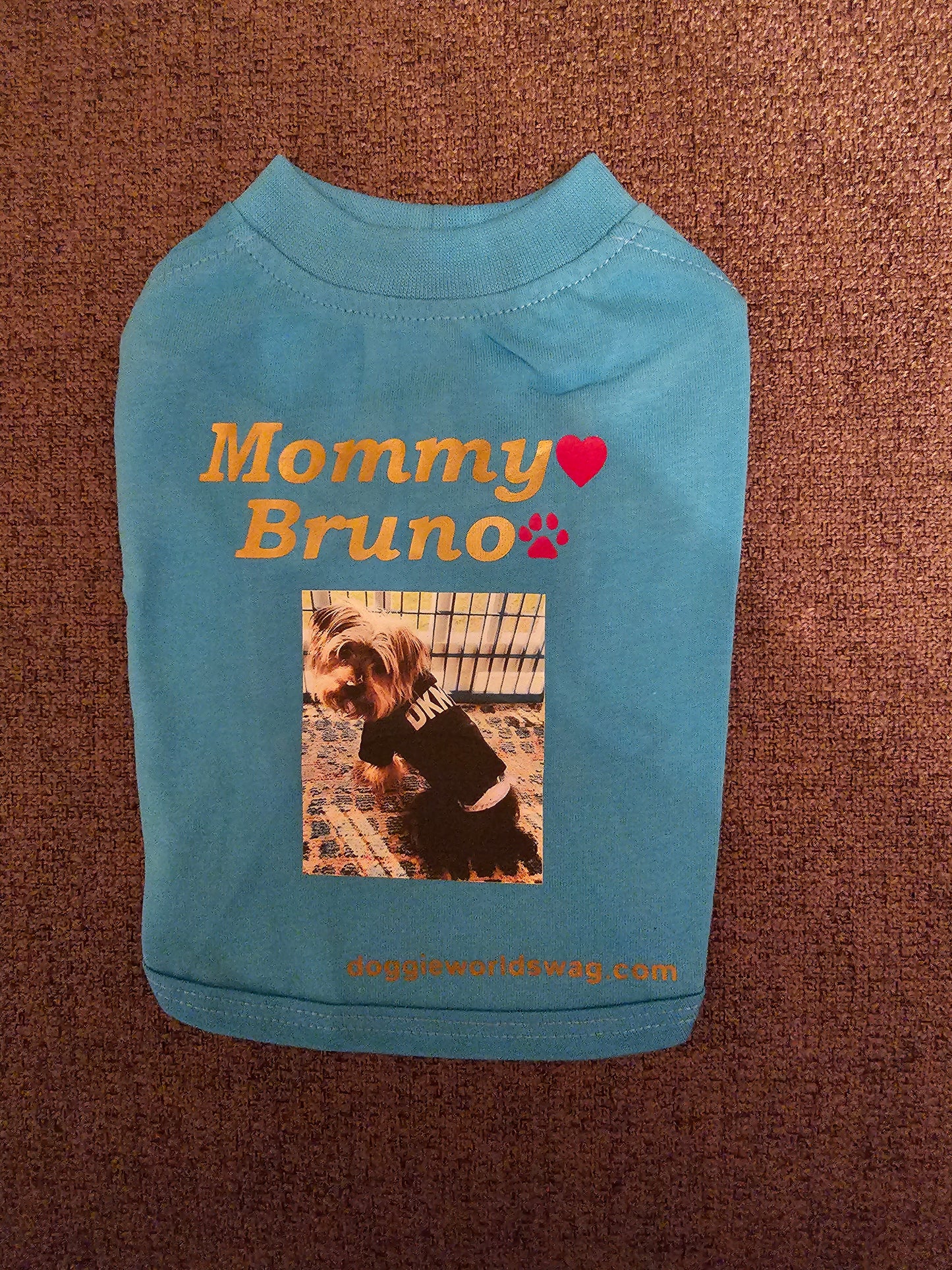 For Fur Babies Custom Made Items~(Email Us๐๐พ)