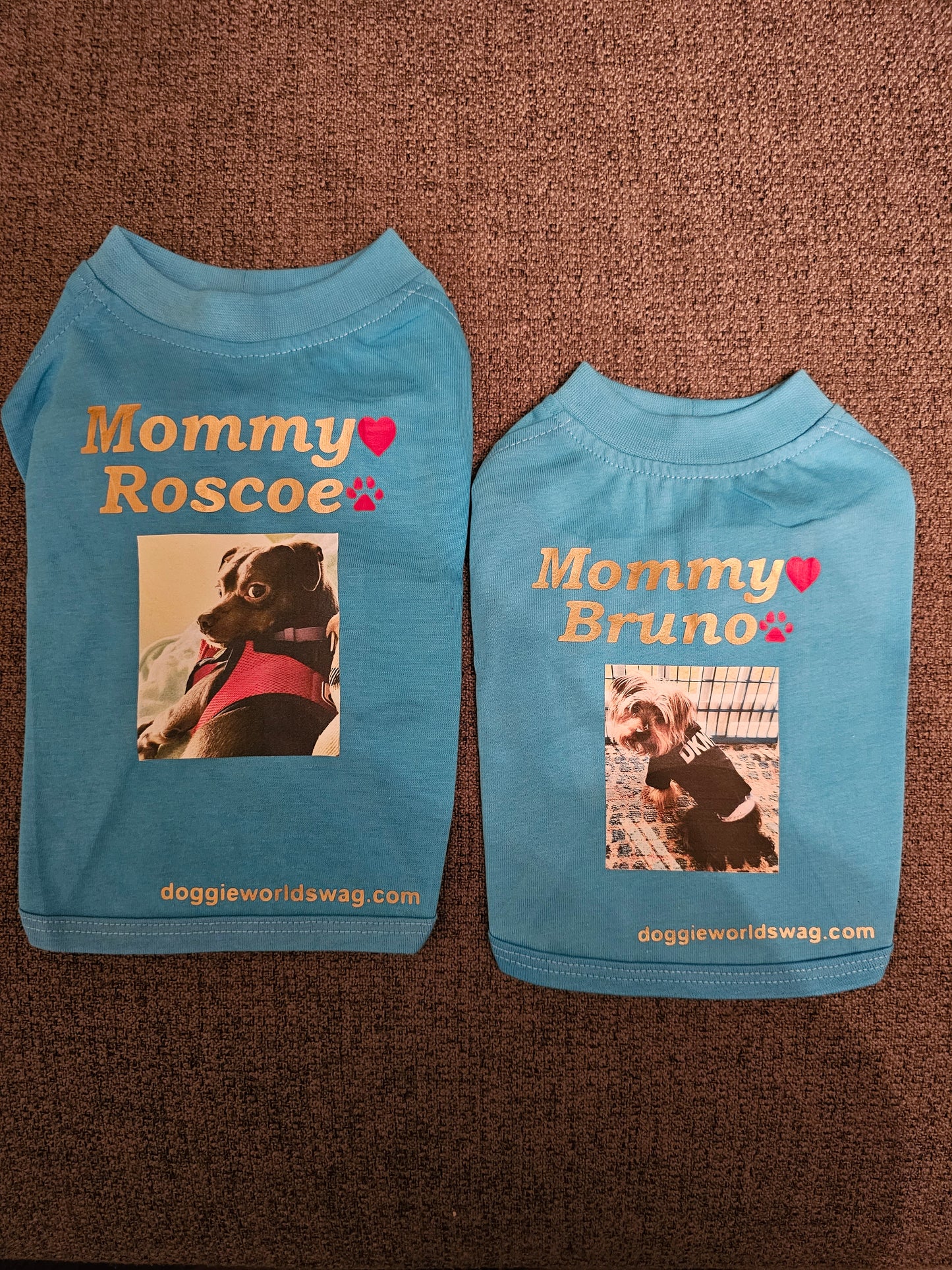 For Fur Babies Custom Made Items~(Email Us๐๐พ)