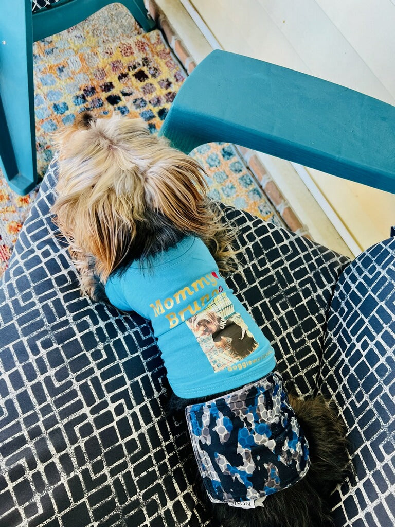 For Fur Babies Custom Made Items~(Email Us๐๐พ)