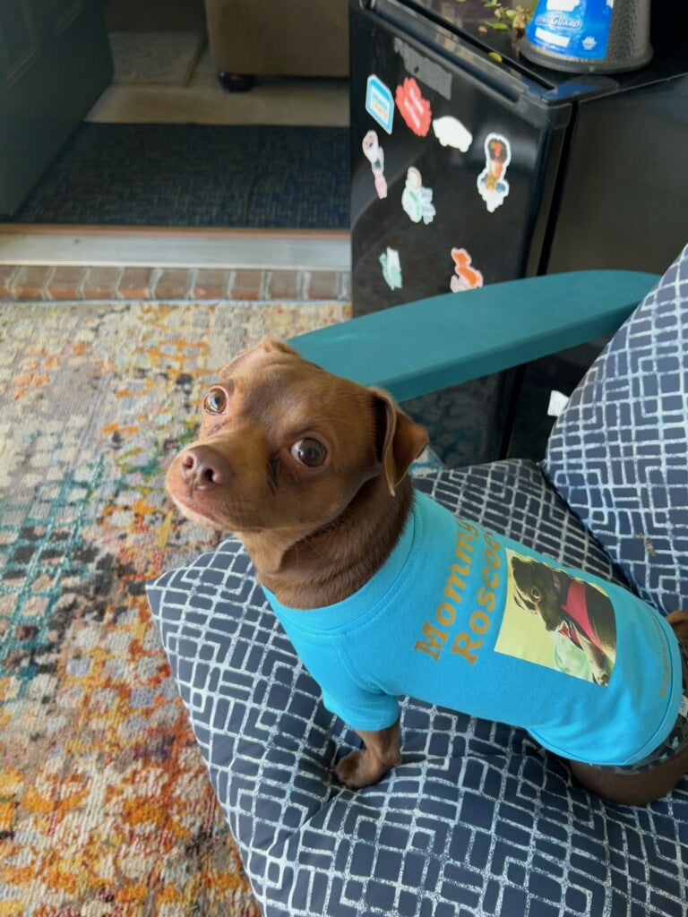 For Fur Babies Custom Made Items~(Email Us๐๐พ)