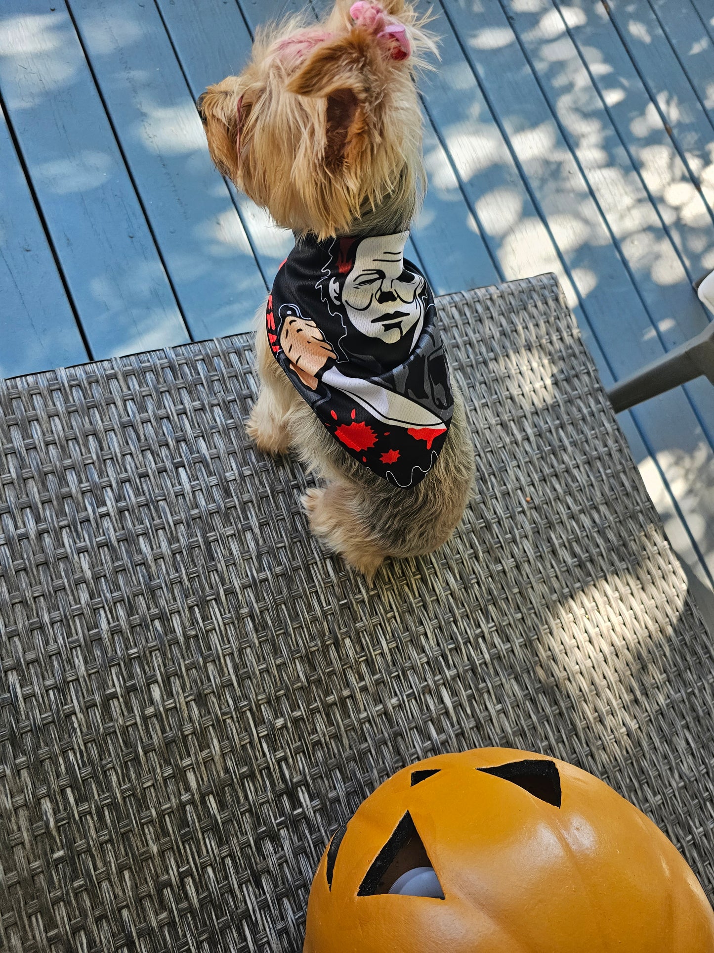 Halloween Bandanas🎃👻