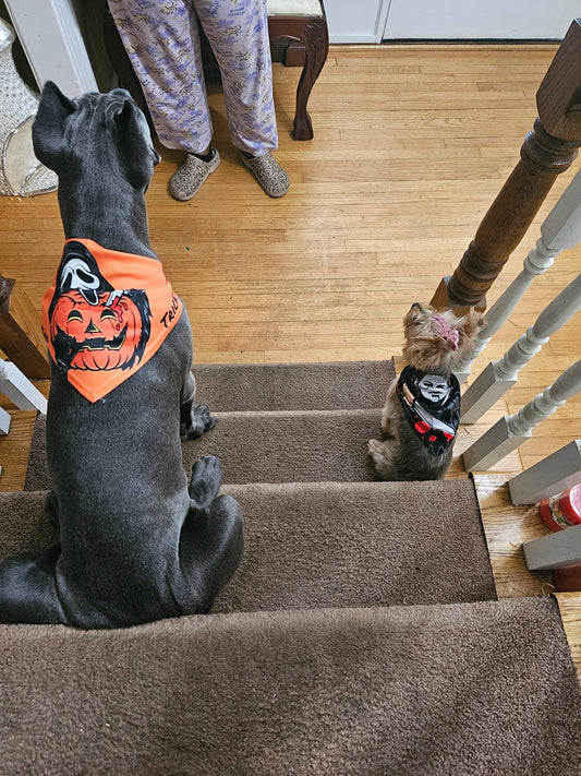 Halloween Bandanas🎃👻